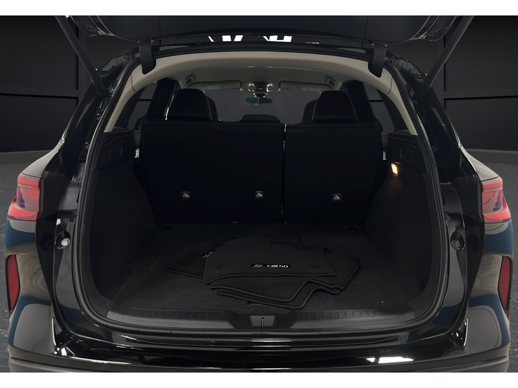 2025 INFINITI QX50 PURE