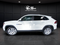2020 Volkswagen Atlas Cross Sport 3.6L V6 SE w/Technology 4Motion